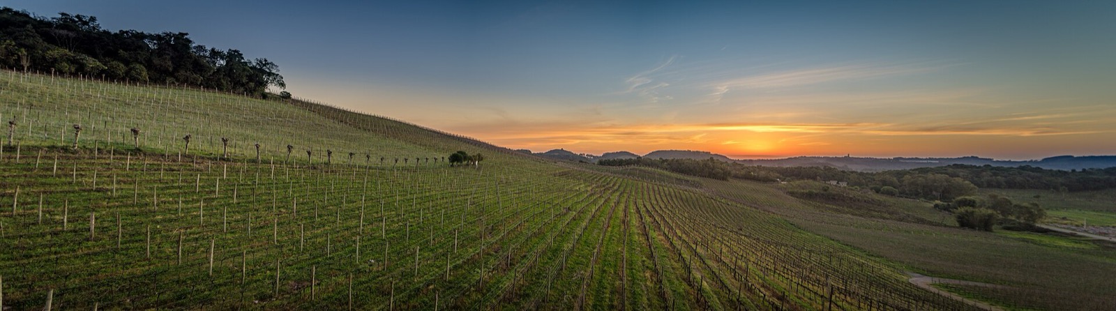 Vale dos Vinhedos — Bento Gonçalves/RS